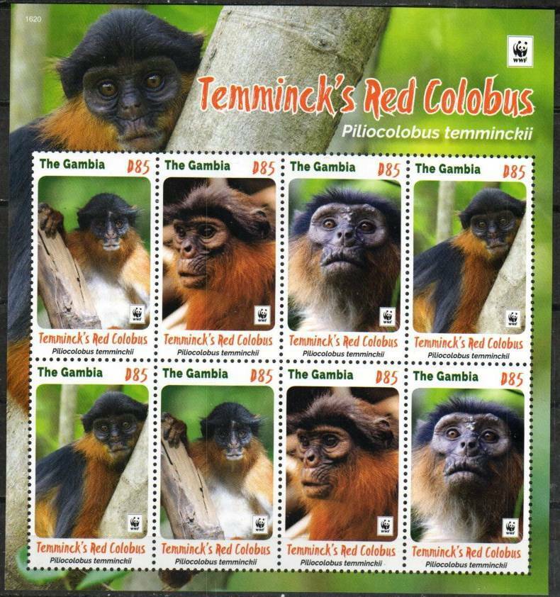 Gambia Stamp - Red Colobus Monkey Stamp - Nh