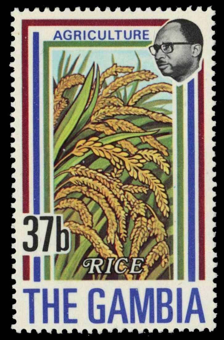 Gambia 289 (sg303) - Agriculture "rice Crops" (pf40907)