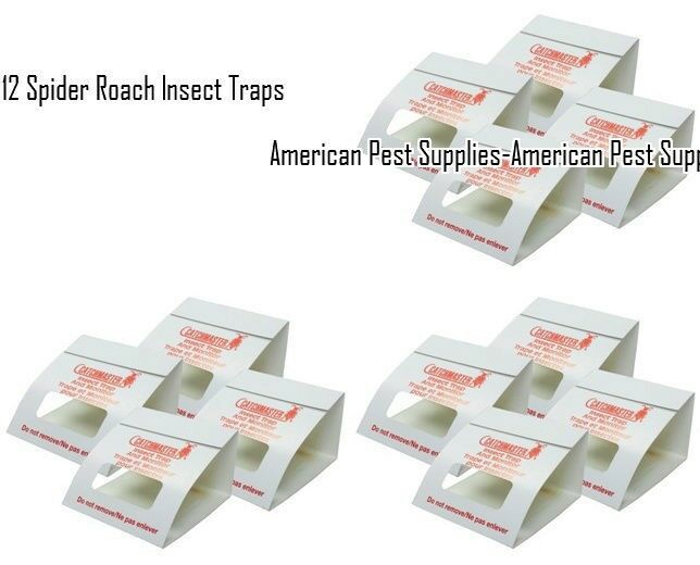12 Spider Roach Insect Traps Brown Recluse Spider Scorpion Cricket Sticky Traps
