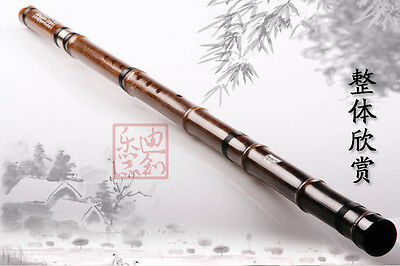 Professional Purple Bamboo Flute Xiao Instrument Chinese Shakuhachi 2 Sections