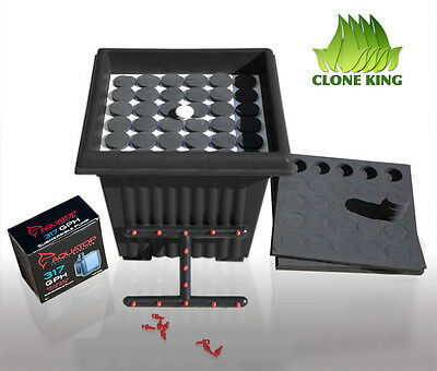 The Clone King 36 Site Aeroponic Plant Cloning Machine Cloner Cloning Very Easy!
