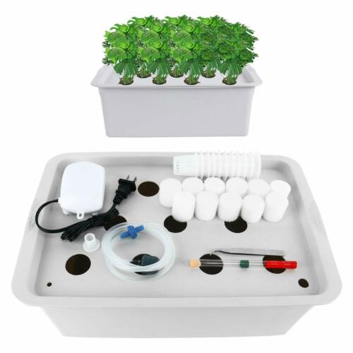 11 Holes Plant Site Hydroponic System Grow Kit Indoor Cabinet Box Home Garden